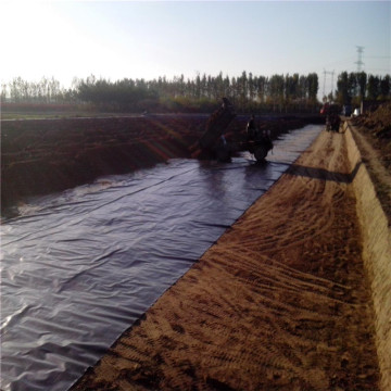 Earthwork Engineering 1mm HDPE Geomembrane Price