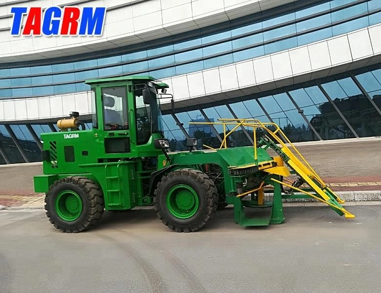 Ogil uchun seks porno