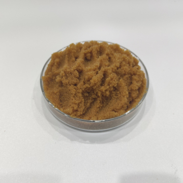 Food Grade Resin for Organic Anion Adsorption