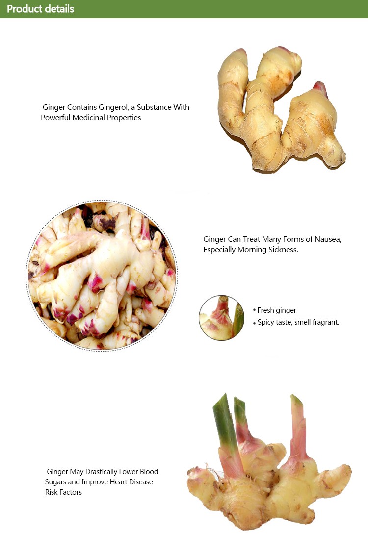 China fresh ginger root for sale