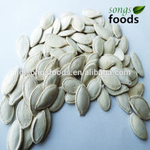 2014 Wholesale Chia Seed