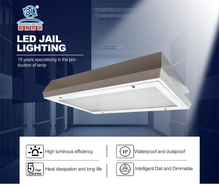 44W surface Ceiling jail Lighting IP65 IK10 prison panel LED Lights for Security