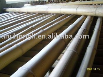 Bamboo poles for garden plant