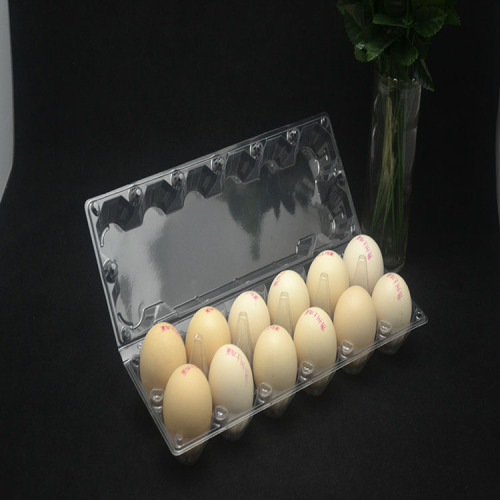 2 Rows Holes In The Egg Tray