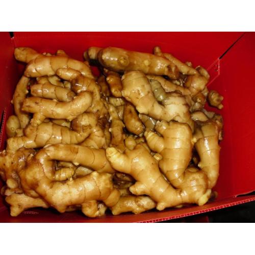 Fresh Ginger 50g și peste