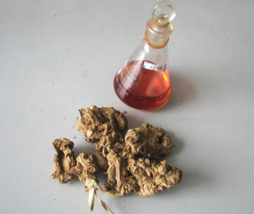 Rhizoma zingiberis essential oil for treat headaches