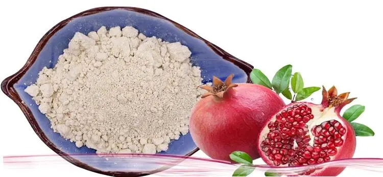 Cosmetics Raw Materials Pomegranate Extract Powder 95% Ellagic Acid Plant Extract with Best Price