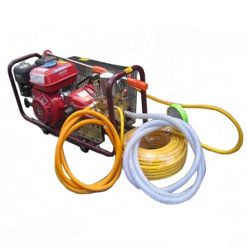 2 Stroke/4 Stroke Agricultural Power Sprayers & Garden Spray Equipment