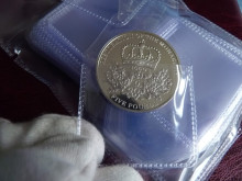 Plastic Coin Flap, Coin Envelops