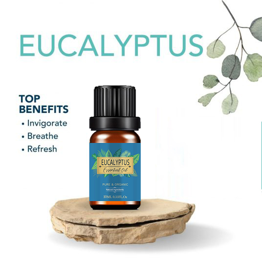 O óleo essencial de eucalipto natural 100% puro para cuidados com a pele de eucalipto orgânico Óleo