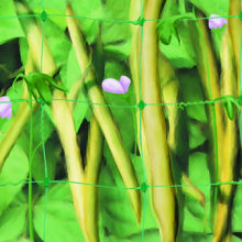 plain netting Agriculture Extruded plastic plain nets