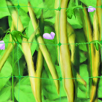 plain netting Agriculture Extruded plastic plain nets