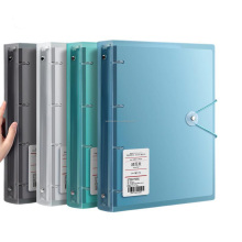 Custom 4-Hole Plastic File Folder - Office Supplies