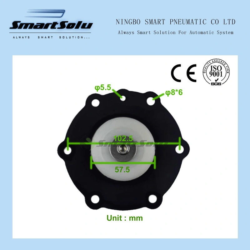 Diaphragm for Joil 1 1/2