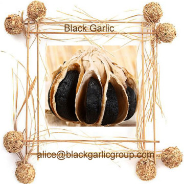 Affordable and Cheap black garlic