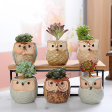 China Ceramic Owl Series Glazed Planter for Succulents and Cacti