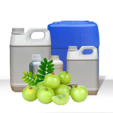 Wholesale Bulk Cold Pressed Alma Oil For Rejuvenating Scalp