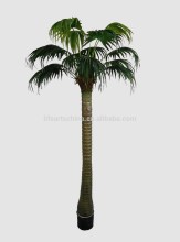 single trunk big palm, plastic palm for outdoor or indoor