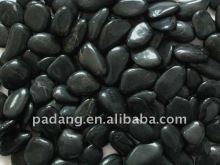 Popular garden Cobble stone