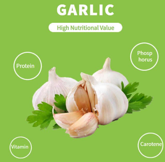 3.Garlic Powder