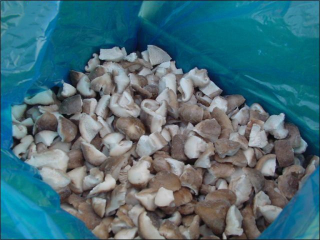 IQF Frozen Shiitake Mushroom whole / slices / 1/4 cuts /quarter