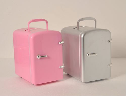 12V 110V-220V Mini car fridge Thermoelectric cooler and warmer fridge 4L fridge coolers