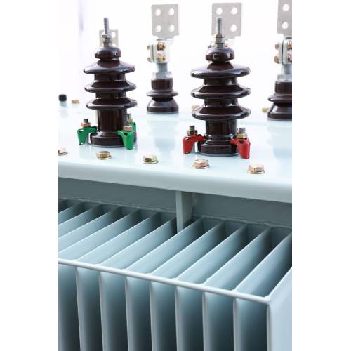 S13 Oil Immersed Type Transformer