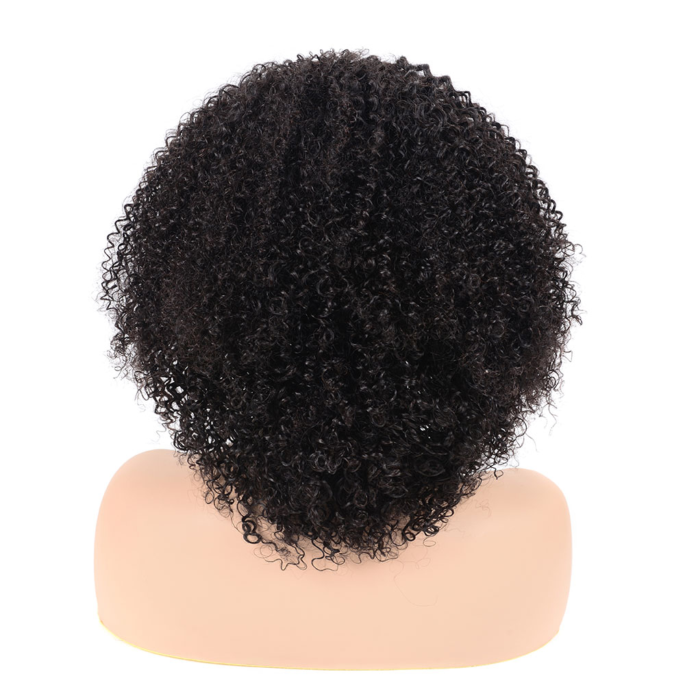 Malaysian Glueless Short Black Natural Human Hair Jerry Curly Bob Lace Front Wig For Black Women