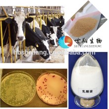 improve growth lactic acid bacteria