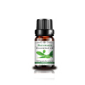 10 ml Ravensara Oil esencial Naturaleza Aceite Aromaterapia superior Naturaleza de grado Ravensara Aceite