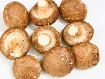 100% Natural Organic Mushroom Shiitake