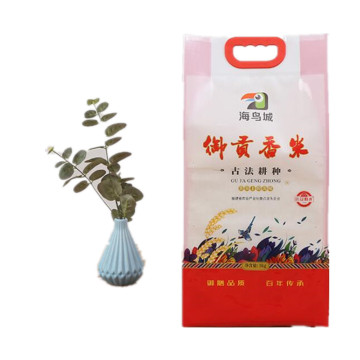 Custom printing rice laminated plastic bag rice soft package stand up pouch