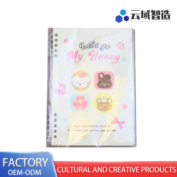 Premium Loose-leaf Binder Collection