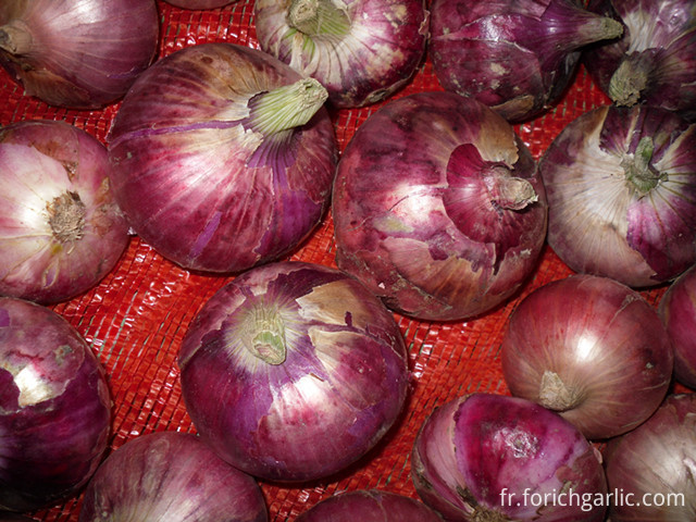 Red Onion