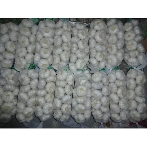 Pure White Garlic 2020 1Kg Bag