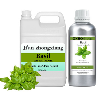 Sweet basil oil in bulk basil clove oil price wholesale supplier