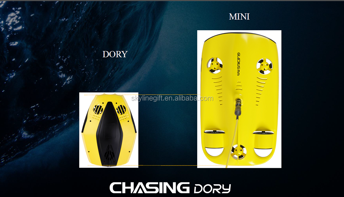 Underwater Drone CHASING DORY Underwater photos and videos for underwater exploration