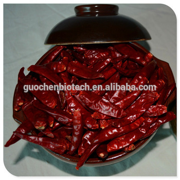 Chinese hot tianjin chilli pepper