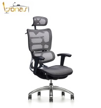 Ergonomic Office Chairs: Aluminum Frame Executive Mesh Chairs