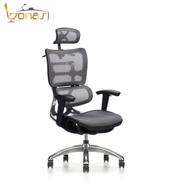Ergonomic Office Chairs: Aluminum Frame Executive Mesh Chairs