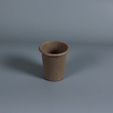 Compostable wheat straw 8oz cups