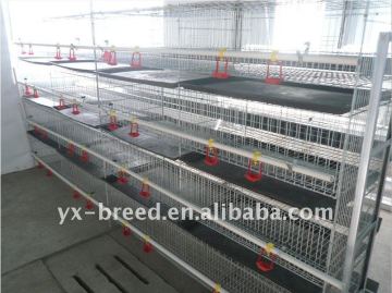 H type automatic breeding cage,broiler rearing cage