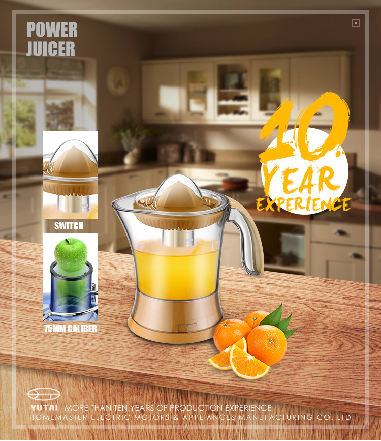 Mini citrus juicer