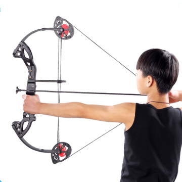 Professional Wooden Bow Archery Recurve Bow and Arrow Game Set for Sale