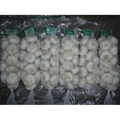 1kg Small Bag Pure White Garlic