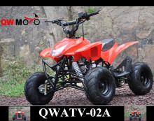 Chinese ATV 110cc hot sale raptor quad teenager atv atomatic 4 wheel quad bike for sale