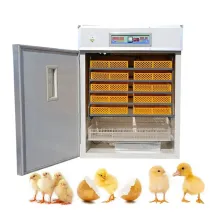 High Quality Good Price Egg Incubator 528 for Chicken, Quail, and Bird Eggs