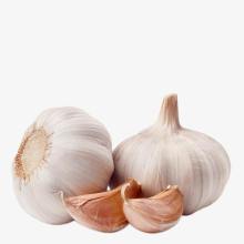 2020 Supreme Quality New Crop Garlic