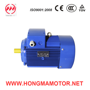 Three Phase Pump Electric Motor