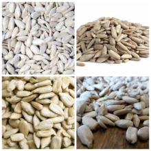 sunflower kernels from factory sunflower seeds without shell